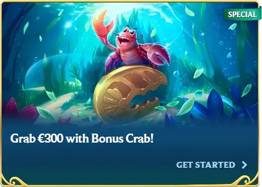 Bonus premier dépôt 100 %